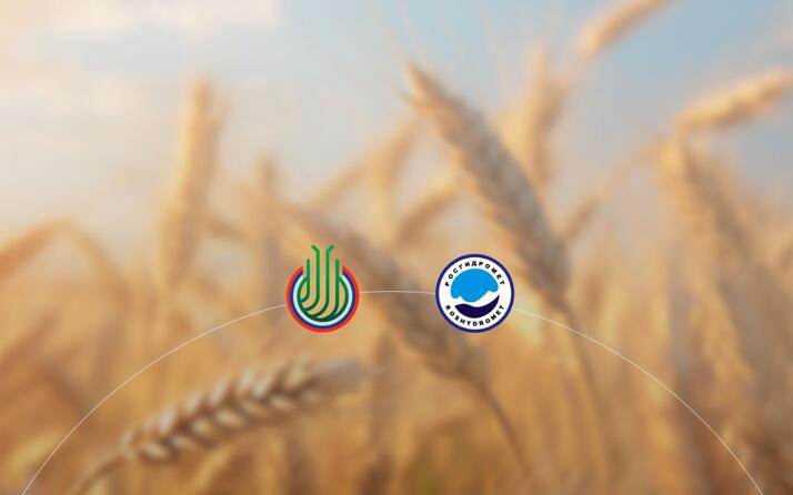Улучшение прогнозирования погоды для АПК